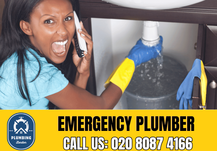 emergency plumber Mayfair 