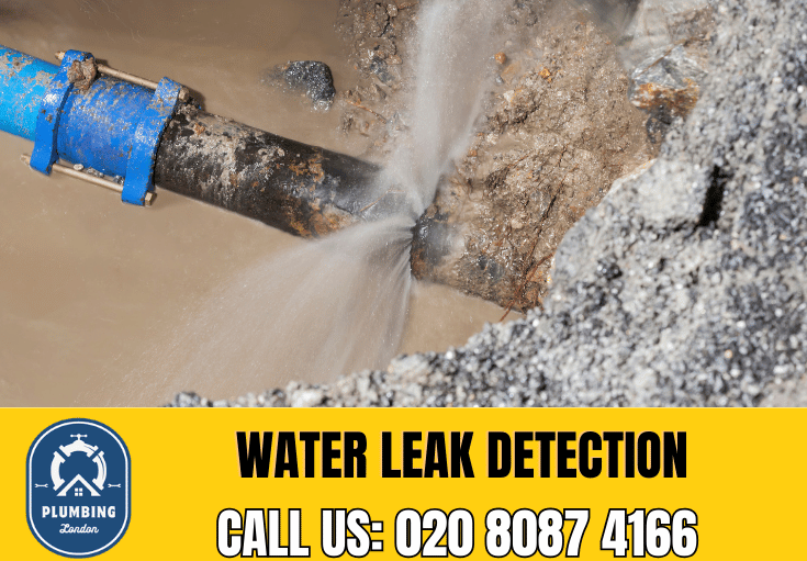 leak detection Mayfair 