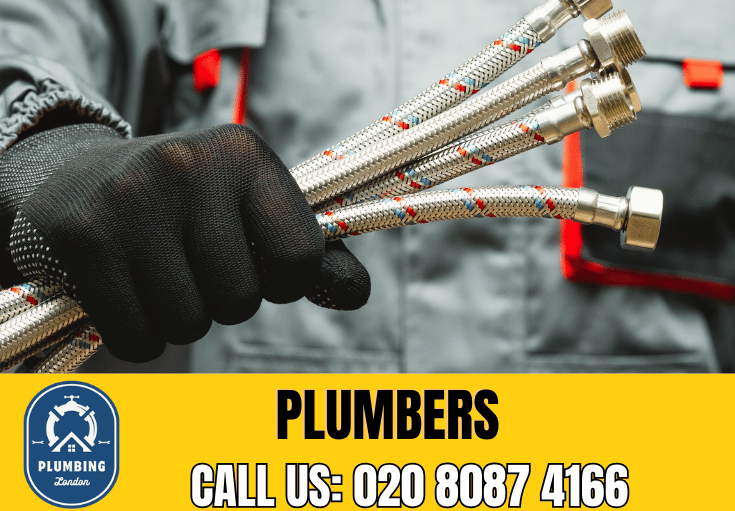  plumber Raynes Park