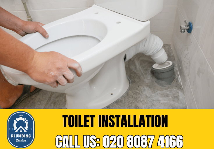 toilet fitters Mayfair 